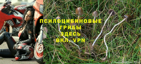 прущие грибы Богородск