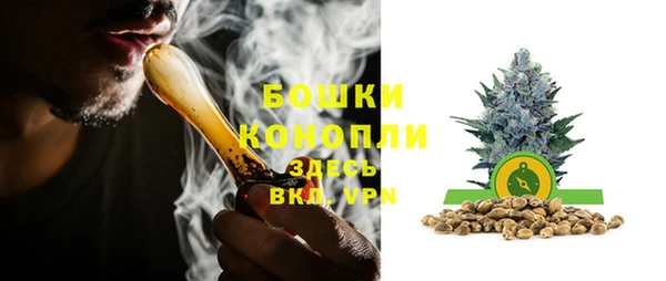 прущие грибы Богородск