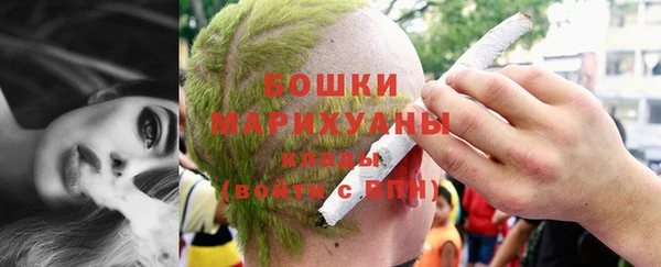прущие грибы Богородск