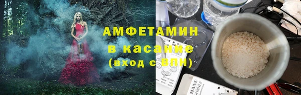 прущие грибы Богородск