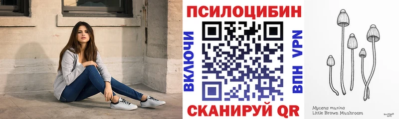 Галлюциногенные грибы MAGIC MUSHROOMS  дарнет шоп  Мыски 